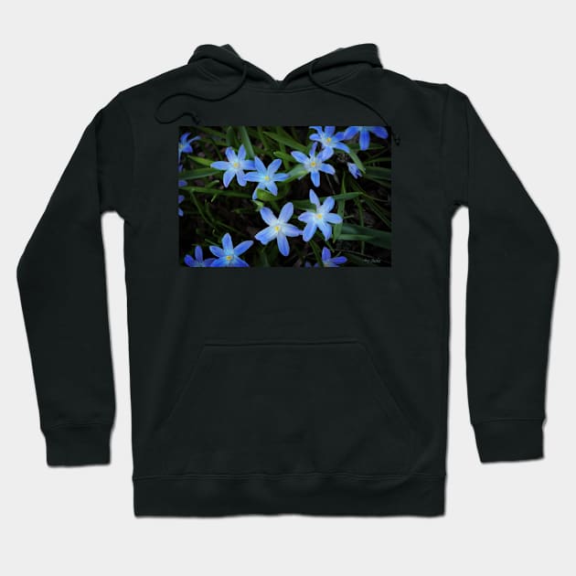 Scilla Flowers In The Morning Hoodie by machare